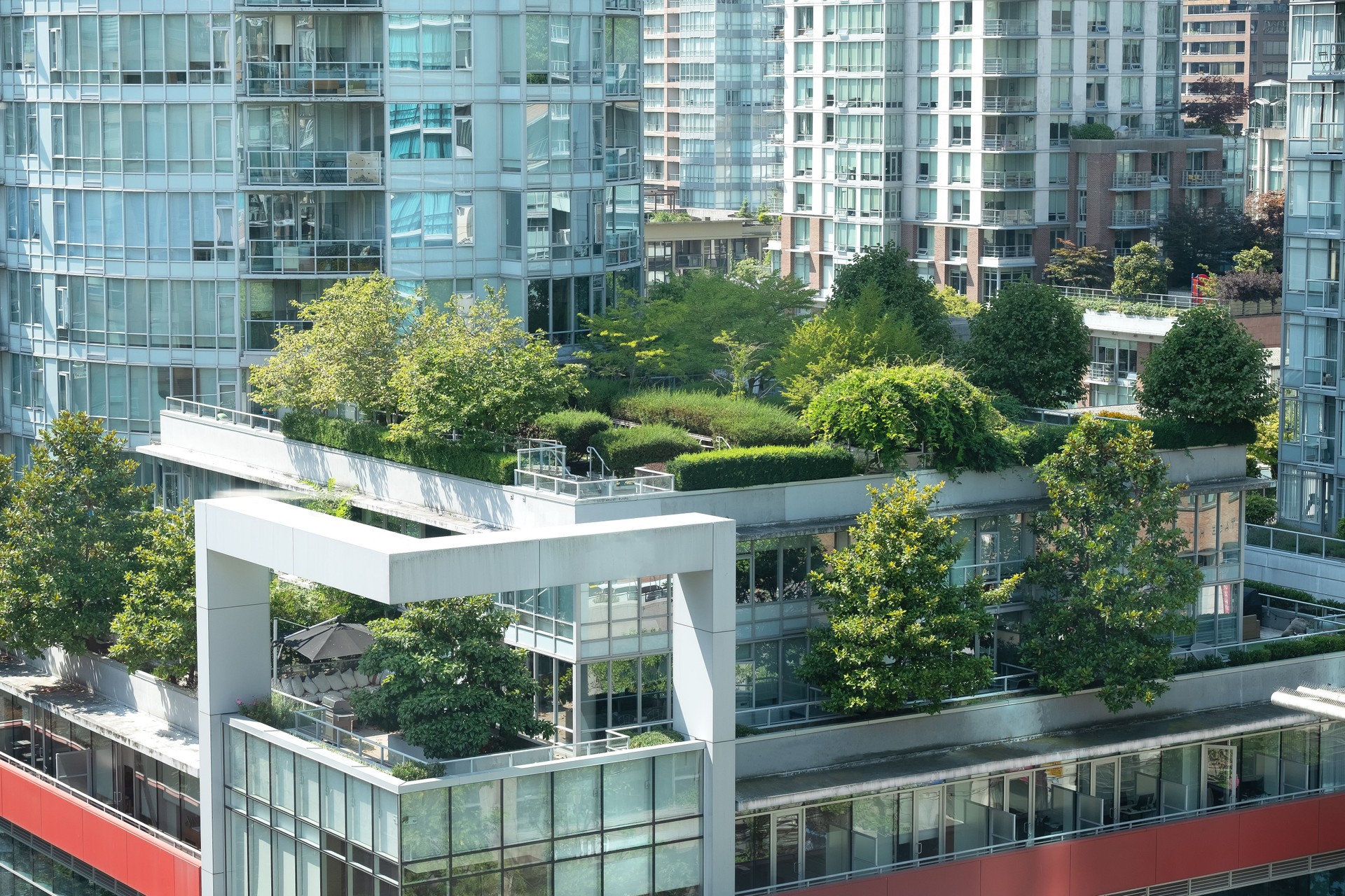 Green City, Rooftop Terrace Gardens Surround by Modern Highrise Buildings